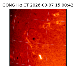 gong - 2026-09-07T15:00:42