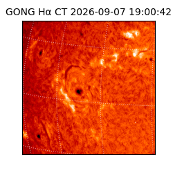 gong - 2026-09-07T19:00:42