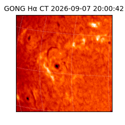 gong - 2026-09-07T20:00:42