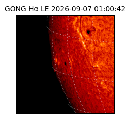 gong - 2026-09-07T01:00:42
