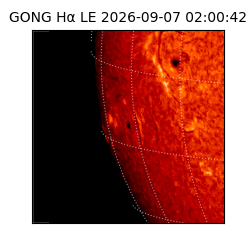 gong - 2026-09-07T02:00:42