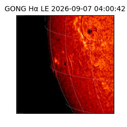 gong - 2026-09-07T04:00:42