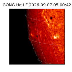 gong - 2026-09-07T05:00:42