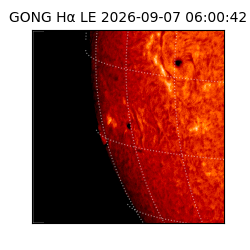 gong - 2026-09-07T06:00:42