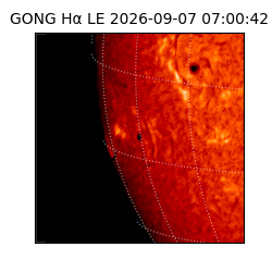 gong - 2026-09-07T07:00:42