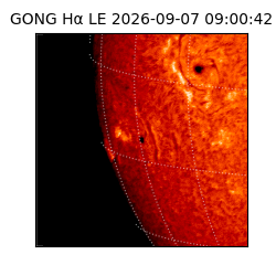 gong - 2026-09-07T09:00:42