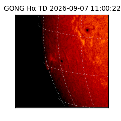 gong - 2026-09-07T11:00:22