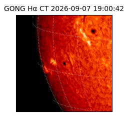 gong - 2026-09-07T19:00:42