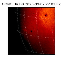 gong - 2026-09-07T22:02:02