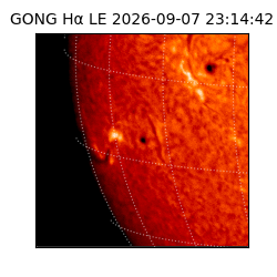 gong - 2026-09-07T23:14:42