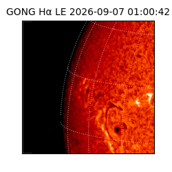 gong - 2026-09-07T01:00:42
