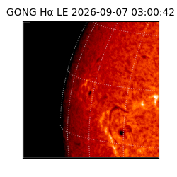 gong - 2026-09-07T03:00:42