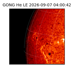 gong - 2026-09-07T04:00:42
