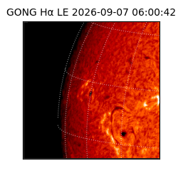 gong - 2026-09-07T06:00:42
