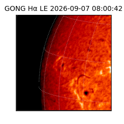 gong - 2026-09-07T08:00:42