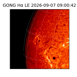gong - 2026-09-07T09:00:42