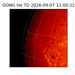 gong - 2026-09-07T11:00:22