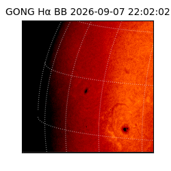 gong - 2026-09-07T22:02:02