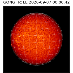 gong - 2026-09-07T00:00:42