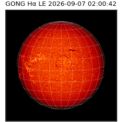 gong - 2026-09-07T02:00:42