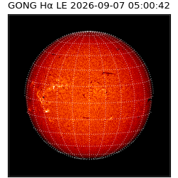 gong - 2026-09-07T05:00:42