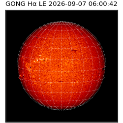 gong - 2026-09-07T06:00:42