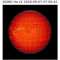 gong - 2026-09-07T07:00:42