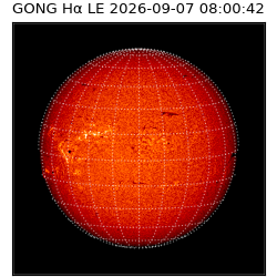 gong - 2026-09-07T08:00:42
