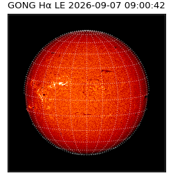 gong - 2026-09-07T09:00:42