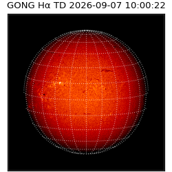 gong - 2026-09-07T10:00:22