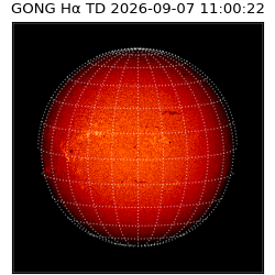 gong - 2026-09-07T11:00:22