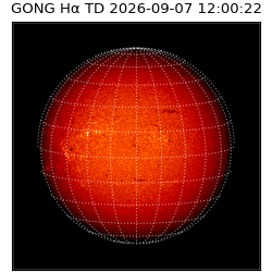 gong - 2026-09-07T12:00:22