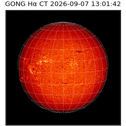 gong - 2026-09-07T13:01:42