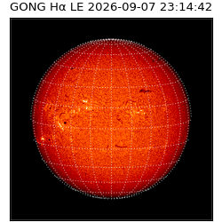 gong - 2026-09-07T23:14:42