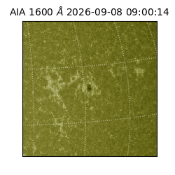 saia - 2026-09-08T09:00:14.123000