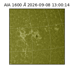saia - 2026-09-08T13:00:14.130000