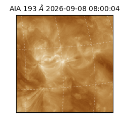 saia - 2026-09-08T08:00:04.845000