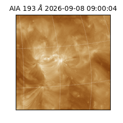 saia - 2026-09-08T09:00:04.845000