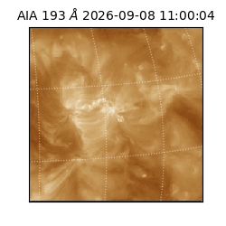 saia - 2026-09-08T11:00:04.845000