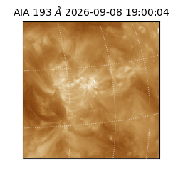 saia - 2026-09-08T19:00:04.845000