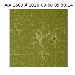saia - 2026-09-08T05:00:14.130000