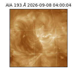 saia - 2026-09-08T04:00:04.842000