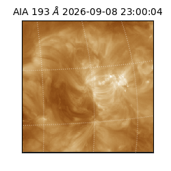 saia - 2026-09-08T23:00:04.842000