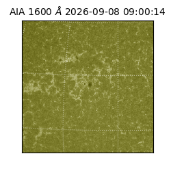 saia - 2026-09-08T09:00:14.123000