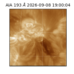 saia - 2026-09-08T19:00:04.845000