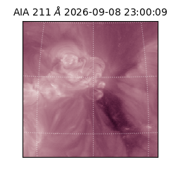 saia - 2026-09-08T23:00:09.632000