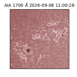 saia - 2026-09-08T11:00:28.716000