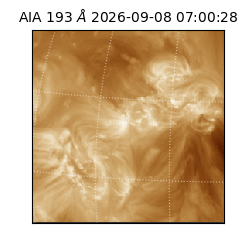 saia - 2026-09-08T07:00:28.842000
