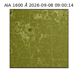 saia - 2026-09-08T09:00:14.123000