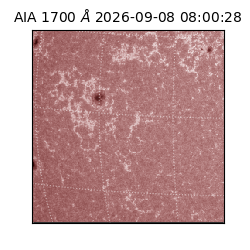 saia - 2026-09-08T08:00:28.716000
